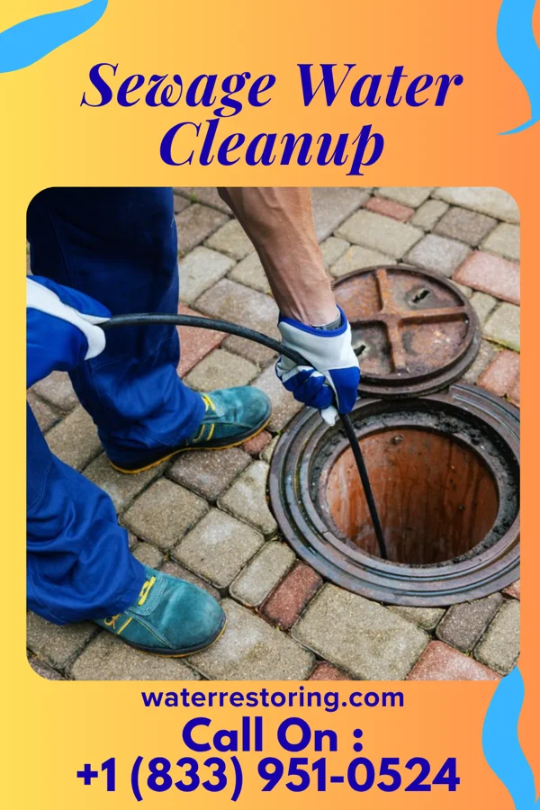 Sewage Water Cleanup in Bache, OK
